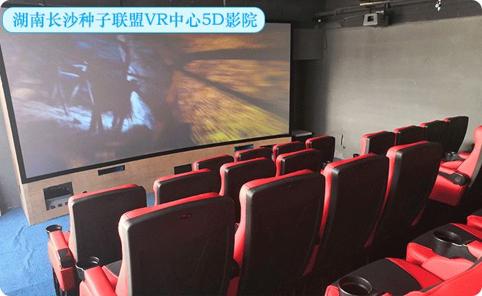 湖南長(zhǎng)沙種子聯(lián)盟VR中心5D影院